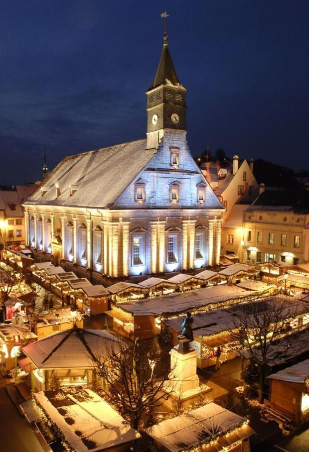 Appart'Hotel De La Gare Montbéliard Екстериор снимка